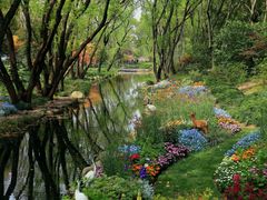 -上海共青森林公园