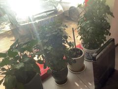 -怪怪龙虾·来自江苏盱眙(惊驾路店)