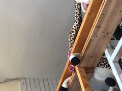 二楼、注意！長頸鹿出沒！-长颈鹿咖啡(大学路店)