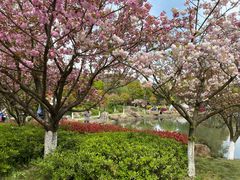 -白马涧龙池景区