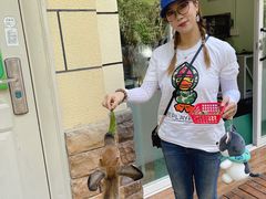 -昆明动物园