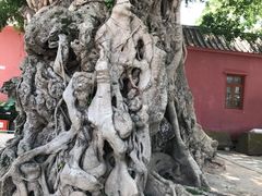 -闽粤南澳总镇府
