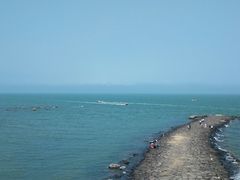 -大锅强·蒸海鲜青岛菜(吾悦广场店)