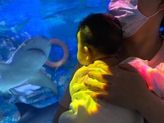 -烟台海昌鲸鲨海洋公园