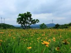 -白塔山公园