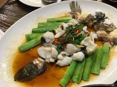 鲜花椒蒸鱼-猪肉婆私房菜(容桂总店)