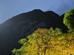 -三清山希尔顿度假酒店·三清轩中餐厅
