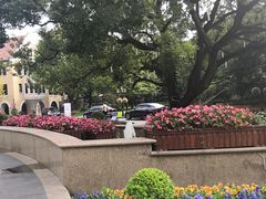 -上海兴国宾馆香樟园西餐厅