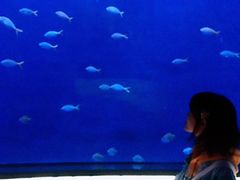 -沈阳海洋探索中心