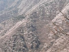 -北京鹫峰国家森林公园