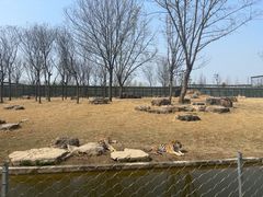 -江苏三台山国家森林公园