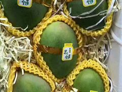 -上海龙吴水胜海发市场