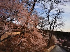 -北京西山国家森林公园