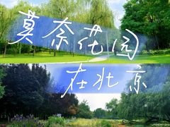 -海淀公园