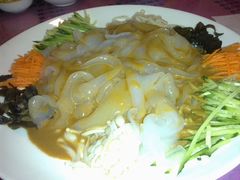 五彩大拉皮-添福来墨鱼饺子 · 海鲜东北菜(大连星海·黄浦路店)