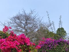-烧烤佬(新基路店)
