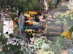 -思南书局(复兴中路店)