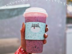 -野萃山·潮汕厚果汁(十亩地店)