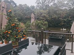 -茅庐·川粤精品私房菜(金沙遗址店)