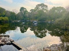 -上海吴淞炮台湾国家湿地公园