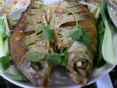 黄尾鱼-沙县肥姐小吃