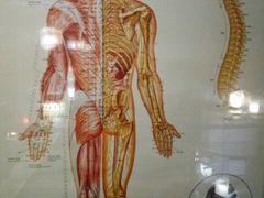 -洪盛堂(净居寺南街店)