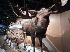 -陕西自然博物馆