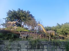 -自贡恐龙博物馆