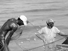 -尼甘布海鲜市场