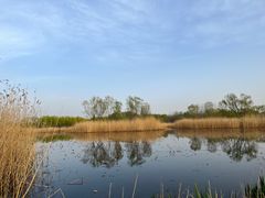 -大兴滨河森林公园