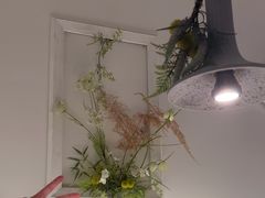 -春树下·树屋花房西餐厅(罍街AS1980店)