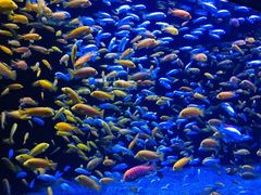 -成都浩海立方海洋公园