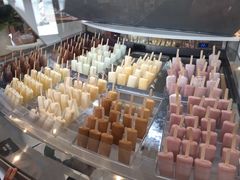 -Patagonia Chocolates(皇后镇店)