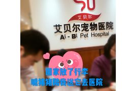-艾贝尔宠物医院·24H转诊中心·肿瘤猫专科(江宁双龙店)