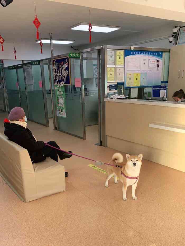 宠颐生动物医院(24小时中康贝怡分院)