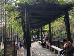 -东莞市可园博物馆