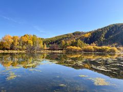 -洮儿河国家湿地公园