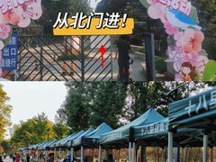 -老君堂公园