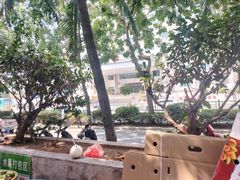 -金鸡岭农贸市场