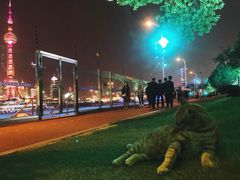 -北外滩滨江绿地