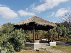 -广富林郊野公园