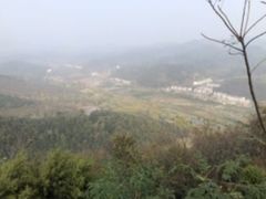 -千年银杏谷文化旅游区