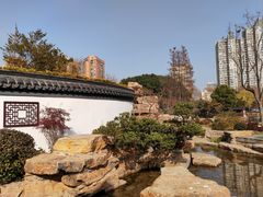 -和平公园