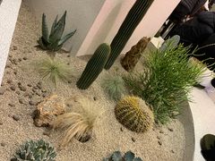 -OUR Bakery(SKP-S店)