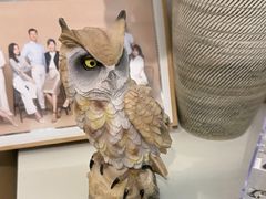 -猫头鹰照相馆(国贸店)