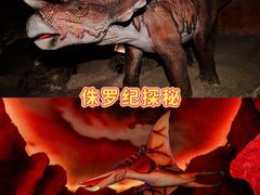 -长鹿旅游休博园