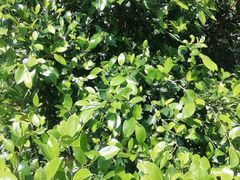 -白鹭洲公园