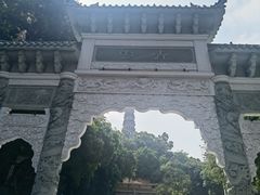 -顺峰山公园