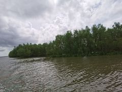 -东寨港红树林旅游区