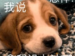 -必胜客(射阳吾悦店)